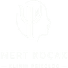Mert Koçak